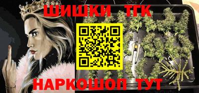 тгк Гатчина