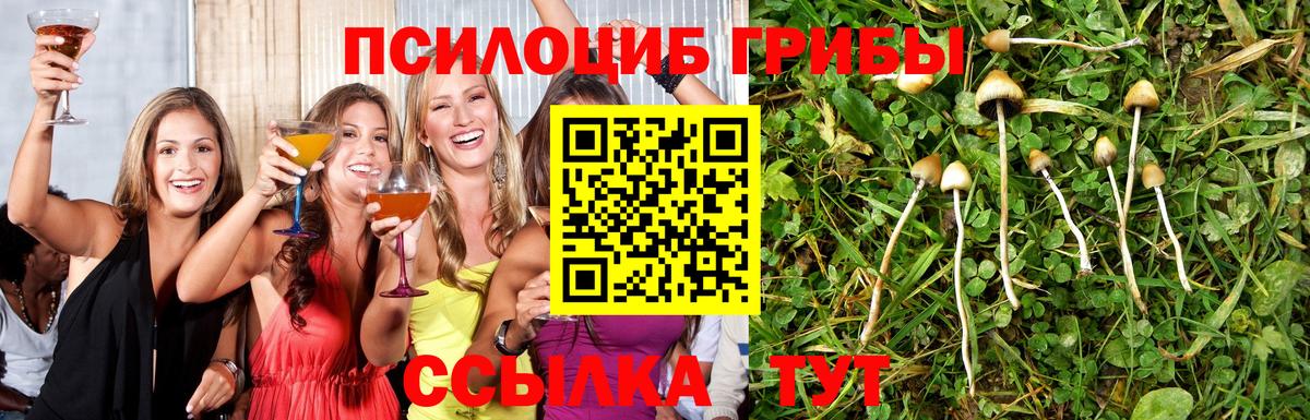 Псилоцибиновые грибы мицелий Киреевск
