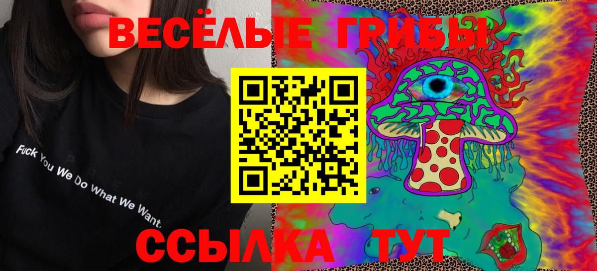 Галлюциногенные грибы Psilocybe  Вход с VPN  наркотики  Киреевск  Галлюциногенные грибы Psilocybe 